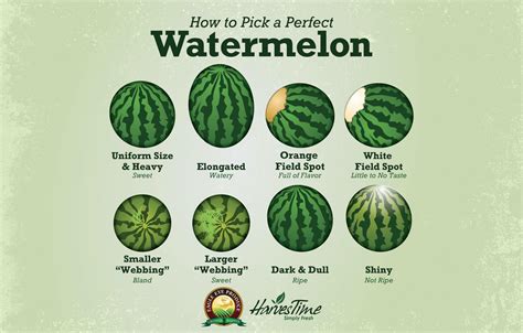 perfect melons Search